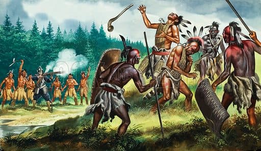 Fact Check: The Iroquois confederacy launched a war of extermination against other tribes to gain control of the fur trade 
