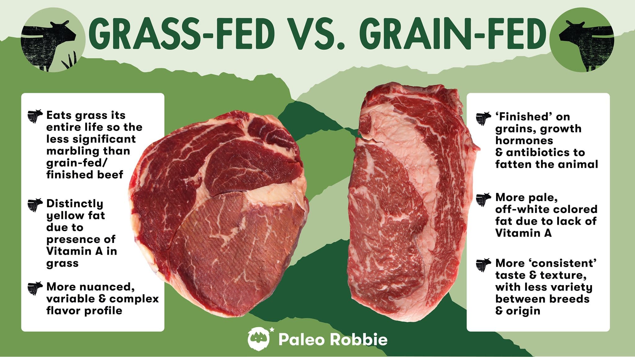 Fact Check: New equation reveals grain-fed cattle emit 80-85% less methane than grass-fed!