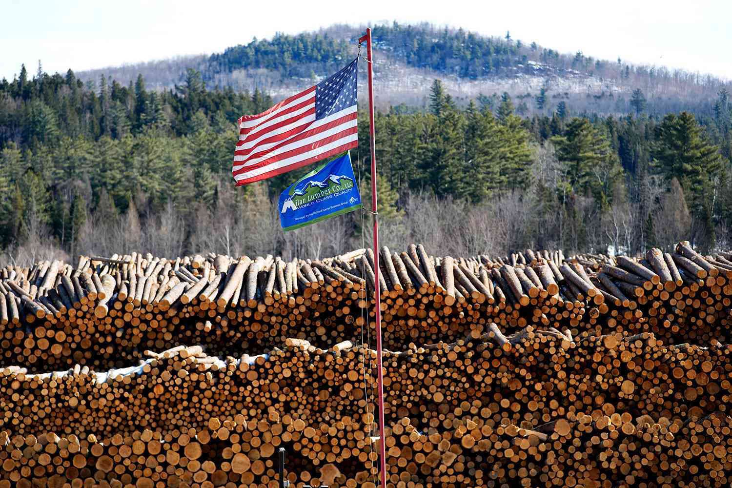 Fact Check: Trump administration opens 59 million acres to logging and roadbuilding.