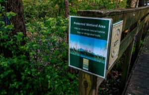 Fact Check: Tennessee's wetland protections were repealed, risking biodiversity and habitat.