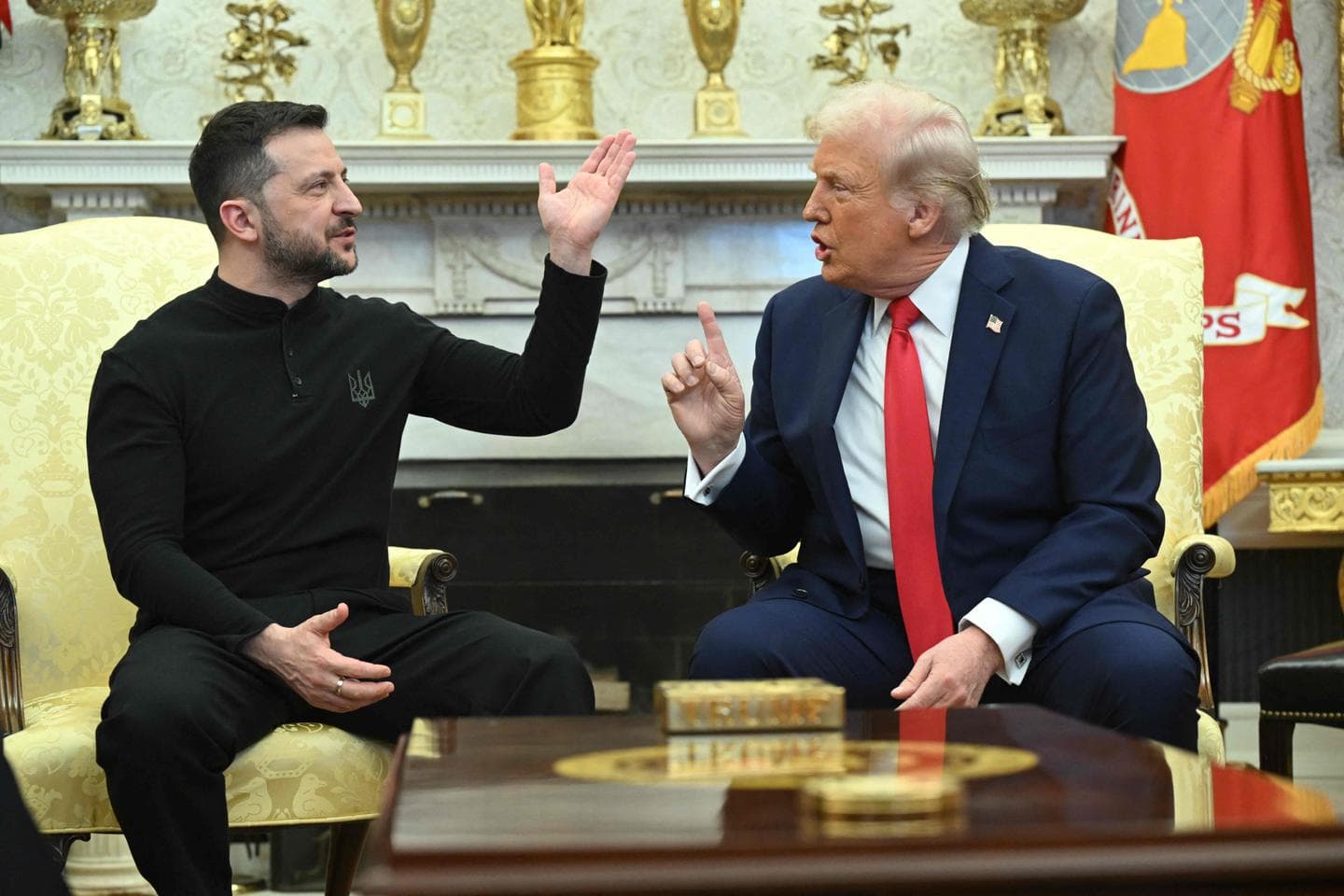 Fact Check: Zelenskyy and Trump discussed crucial issues like ceasefire and protecting people.