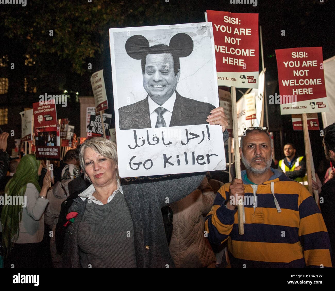 Fact Check: Sisi is not a dictator and should rule Egypt forever 