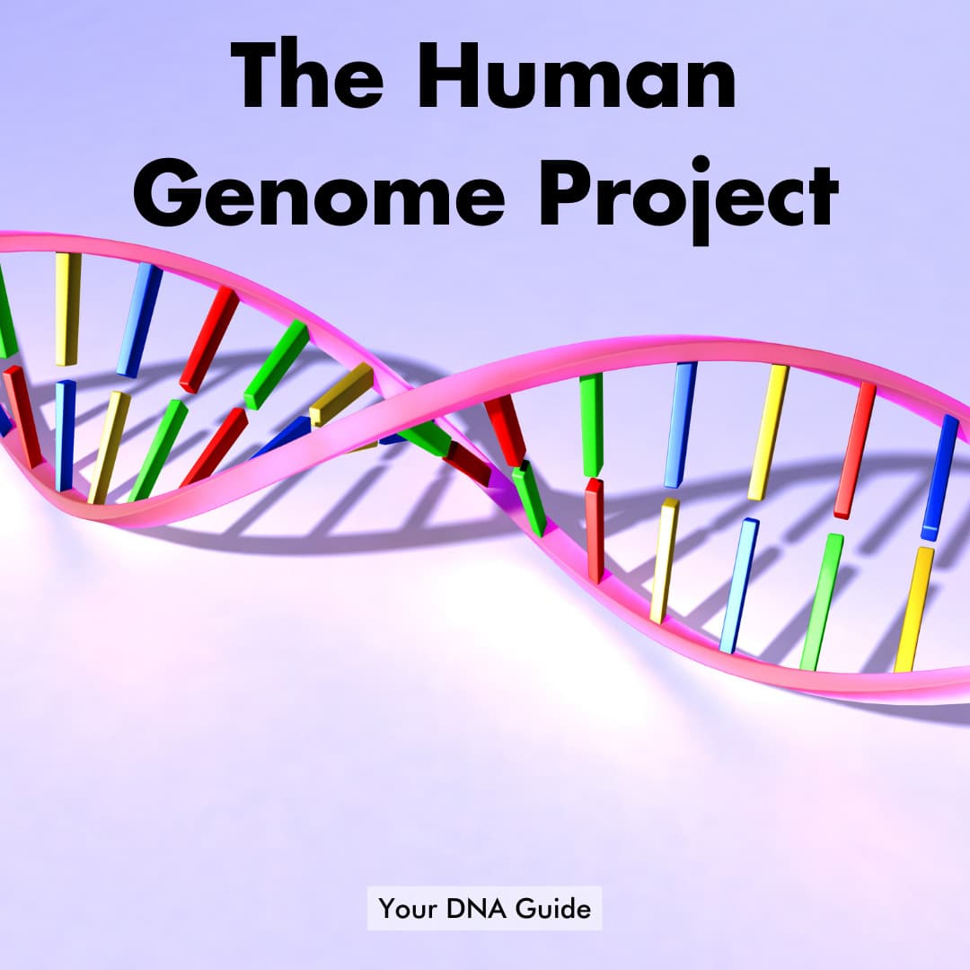 Fact Check: Synthetic Human Genome Project could lead to designer babies and biological weapons.