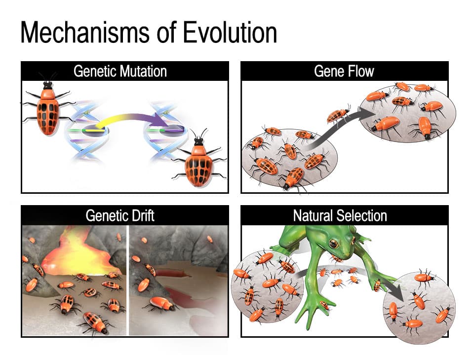 Fact Check: Critics warn synthetic DNA could lead to unforeseen changes for future generations.
