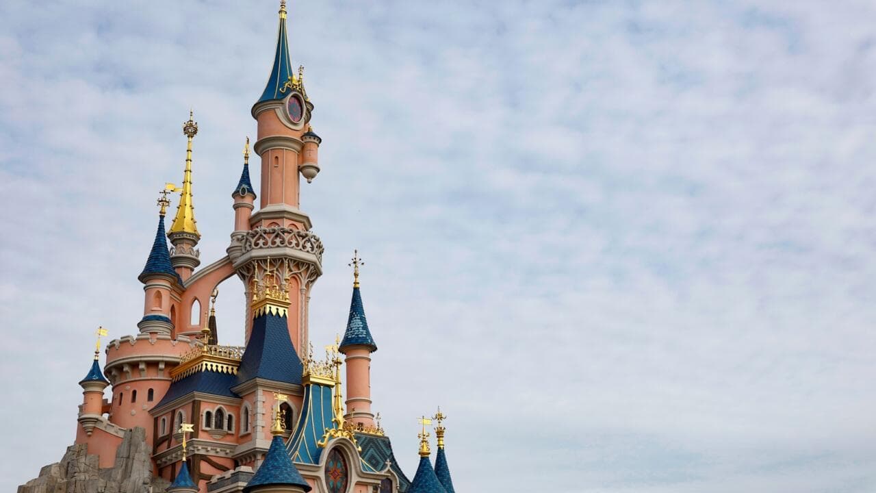 Fact Check: Over 100 extras were hired for a fictitious wedding ceremony at Disneyland.