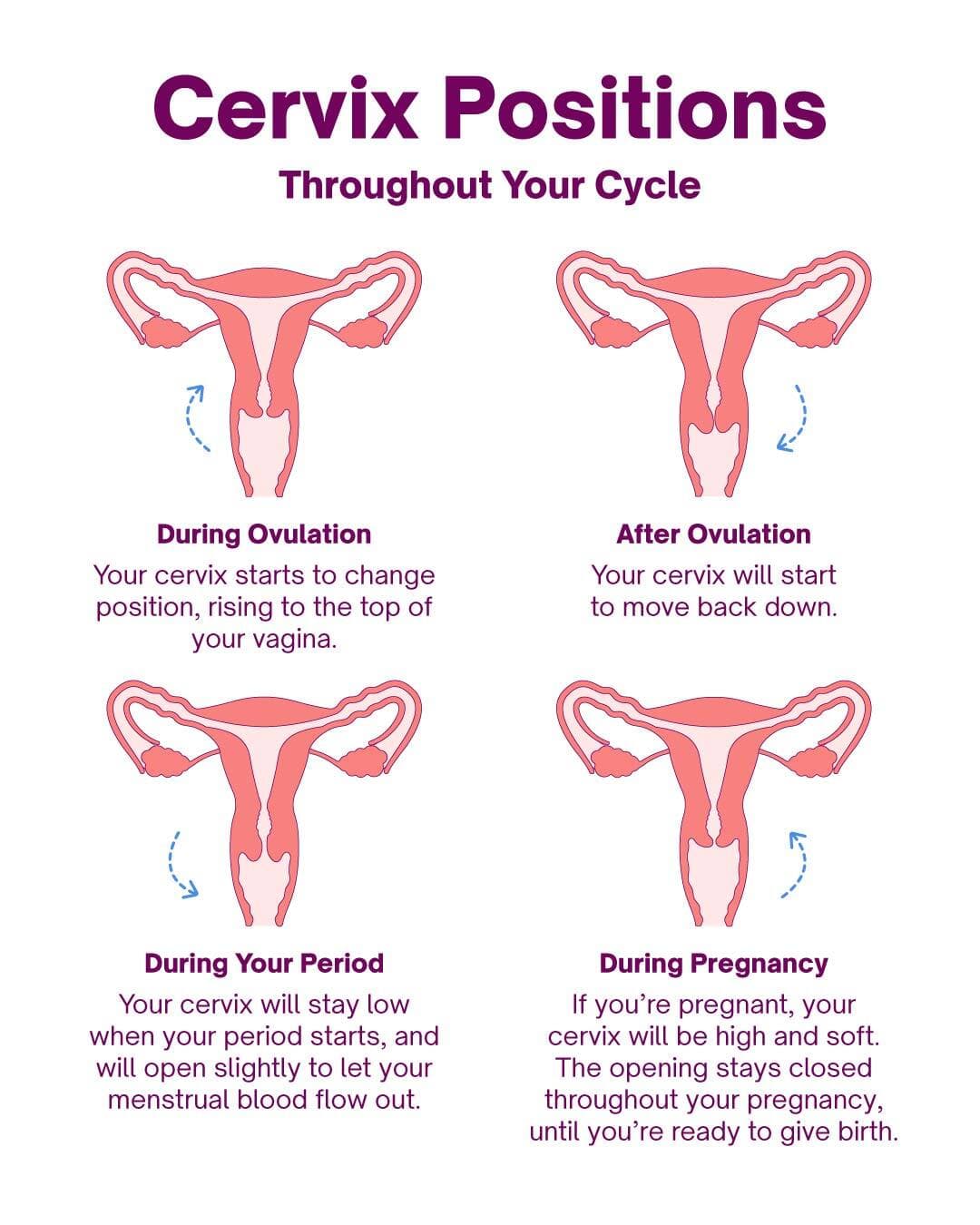 Fact Check: A pregnant woman’s cervix has more elasticity and adaptability than these authoritarian legislators passing rigid abortion laws with no consideration of nuanced cases like Adriana Smith’s.