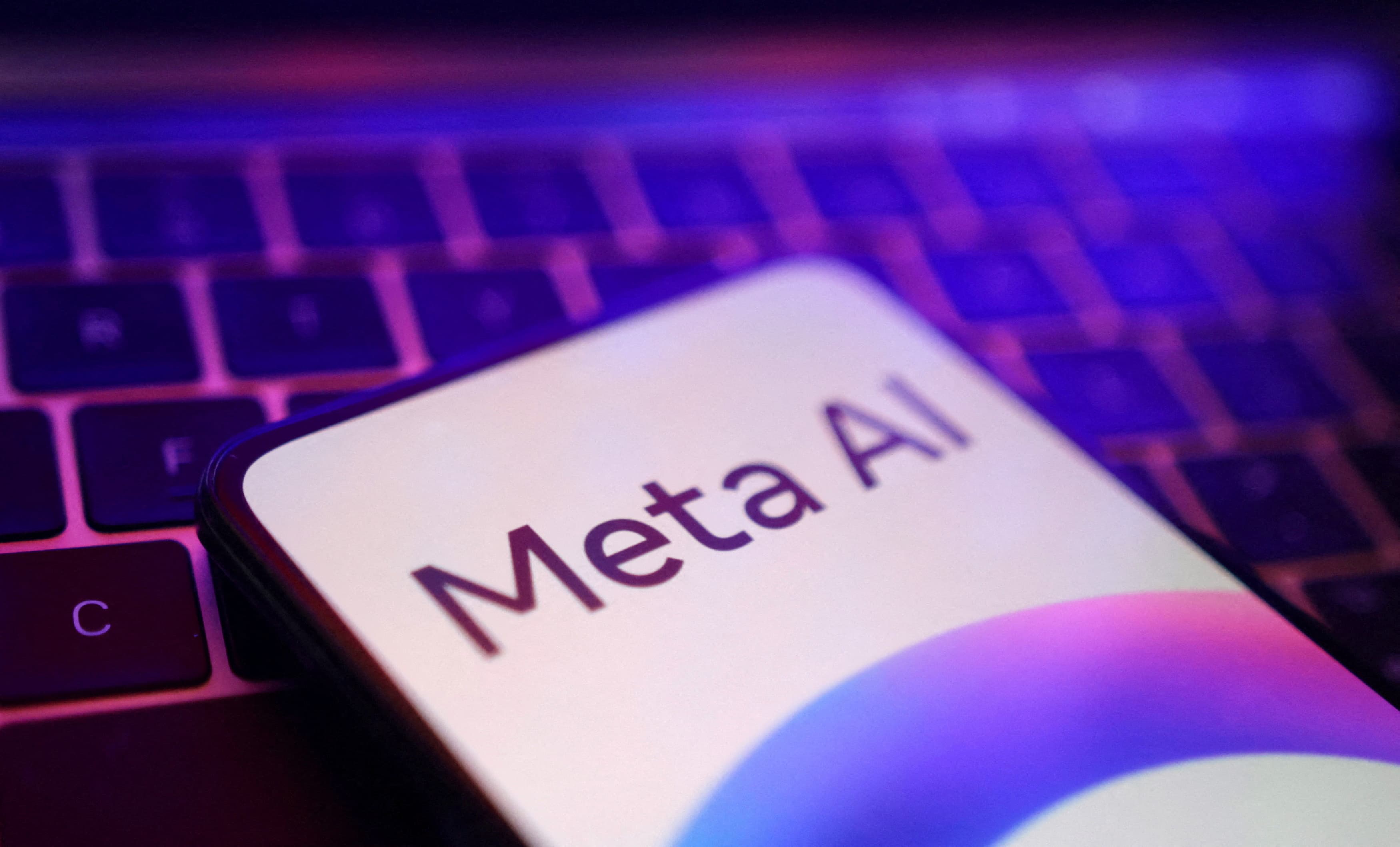 Fact Check: Judge rules authors failed to prove Meta's AI use diluted their market.