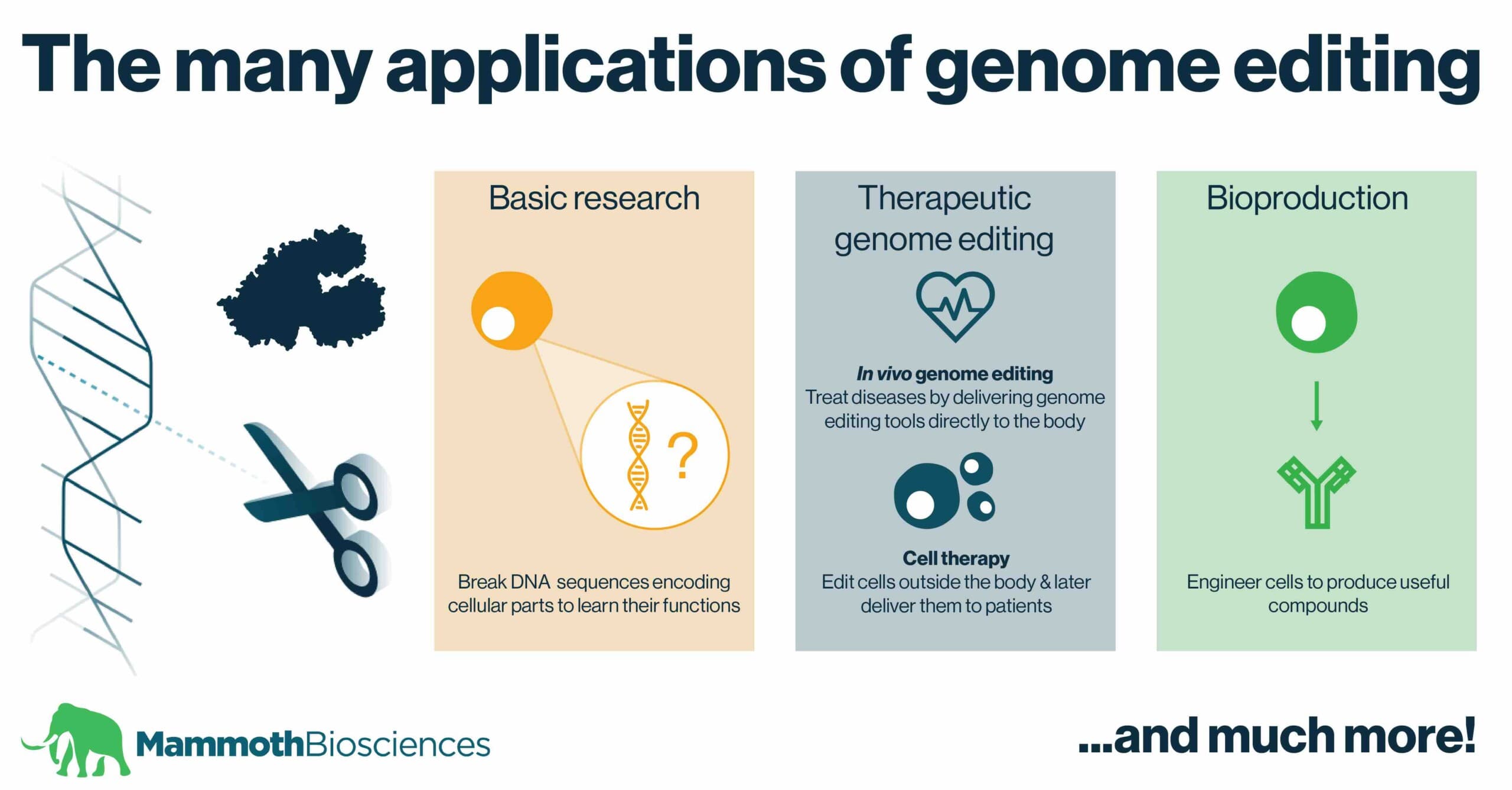 Fact Check: Experts fear synthetic DNA could be misused for warfare and unethical enhancements.
