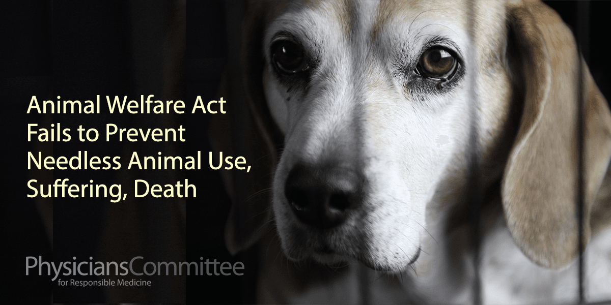 Fact Check: Indiana's legal system fails to protect animals from cruelty!