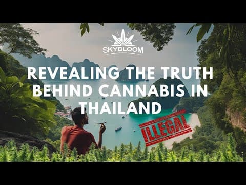 Fact Check: Thailand's cannabis industry could reach $1.8 billion by 2025.
