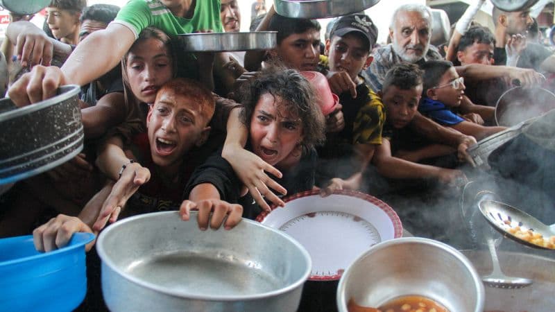 Fact Check: Gaza lacks food
