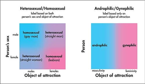 Fact Check: Is human male homosexual orientation correctable?