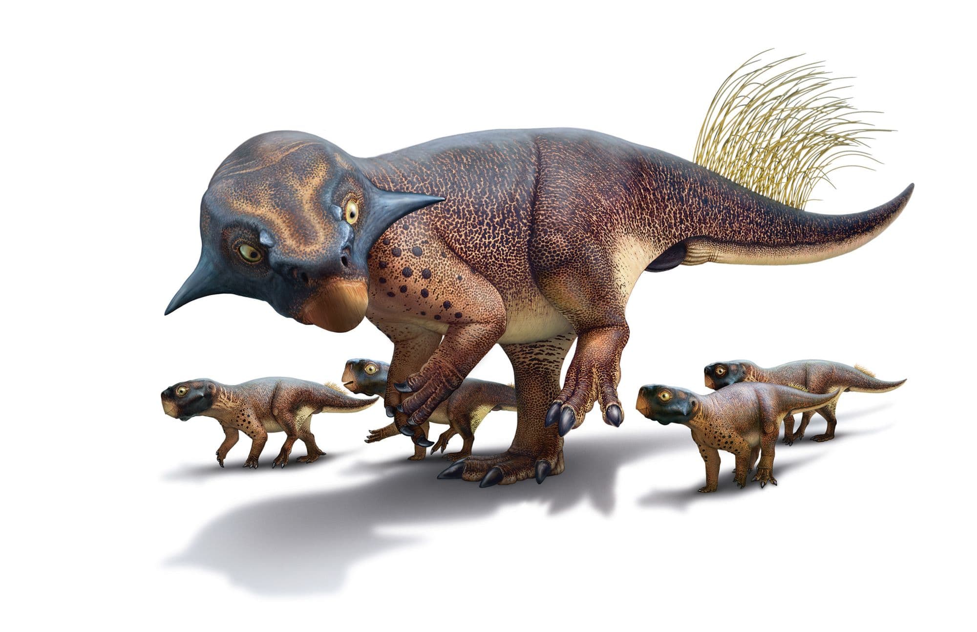 Fact Check: Dinosaurs are real