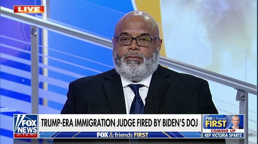 Fact Check: Hundreds of law-abiding noncitizens arrested in immigration courts recently.