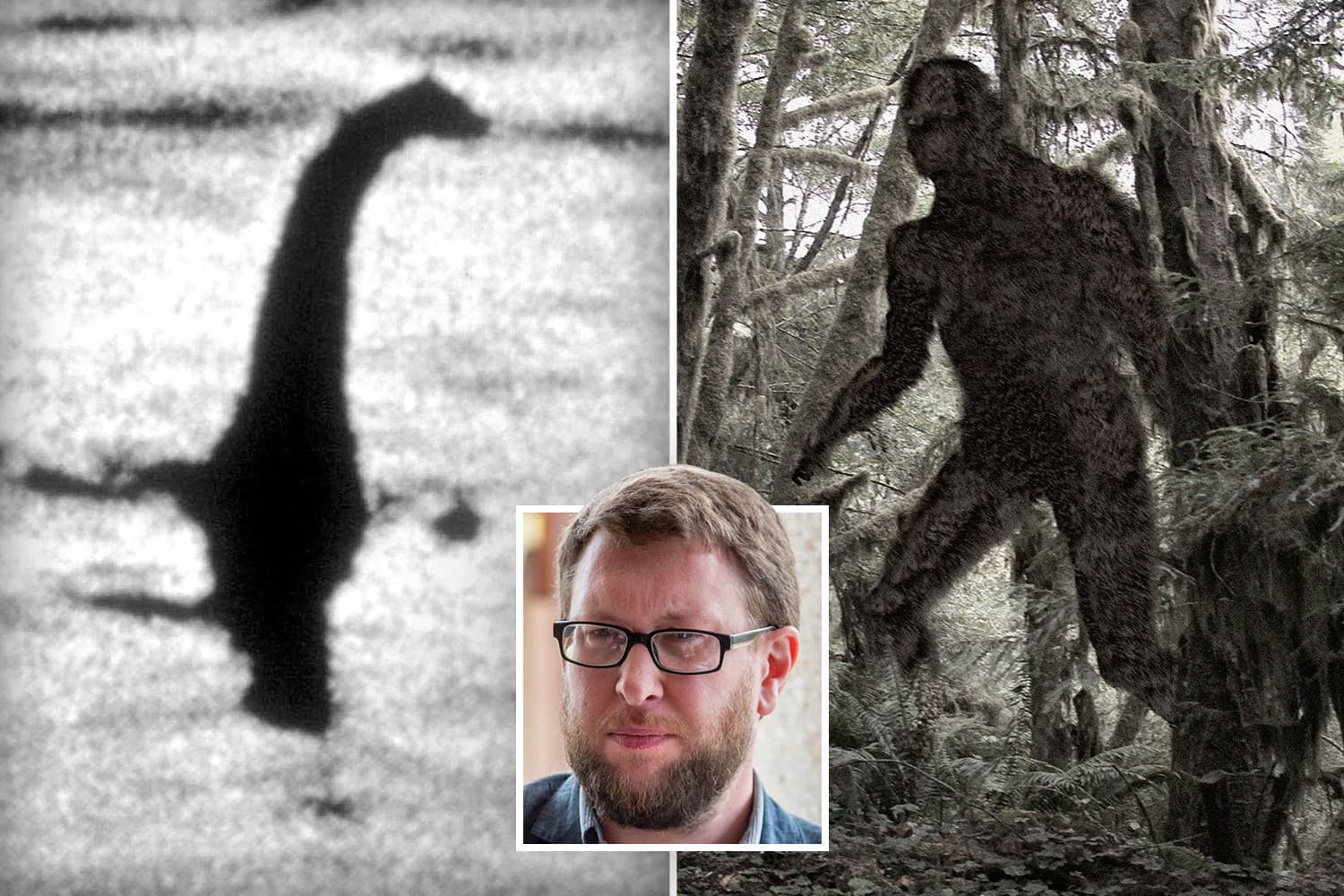 Fact Check: Is Bigfoot real