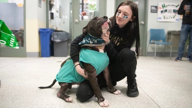 Fact Check: Court ordered man to pay $840 for K9's veterinary fees.