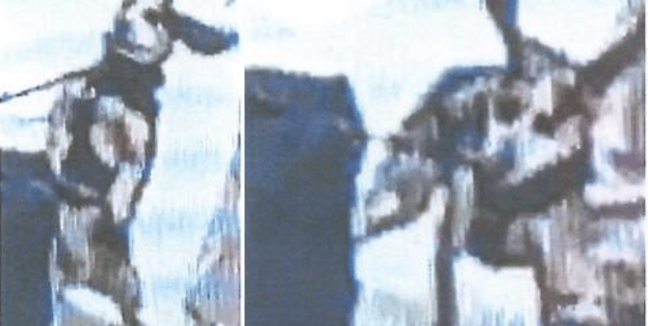 Fact Check: Egyptian national arrested for malicious assault on a police animal.