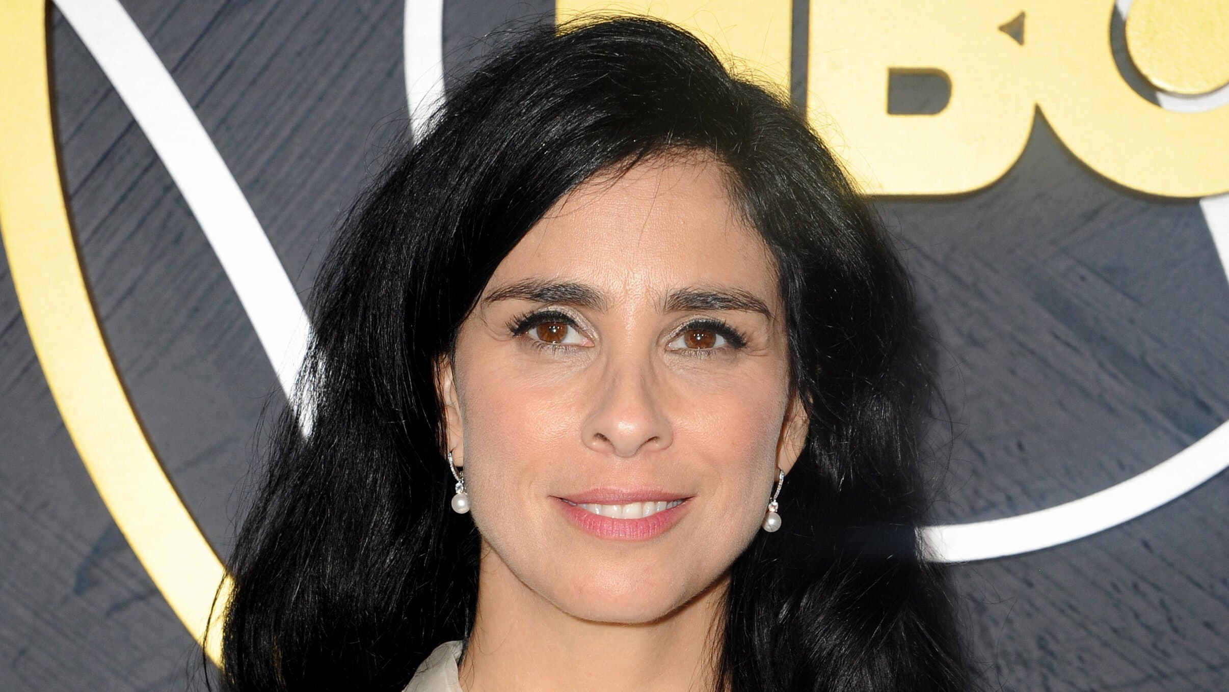 Fact Check: Meta wins AI copyright lawsuit against authors including Sarah Silverman.