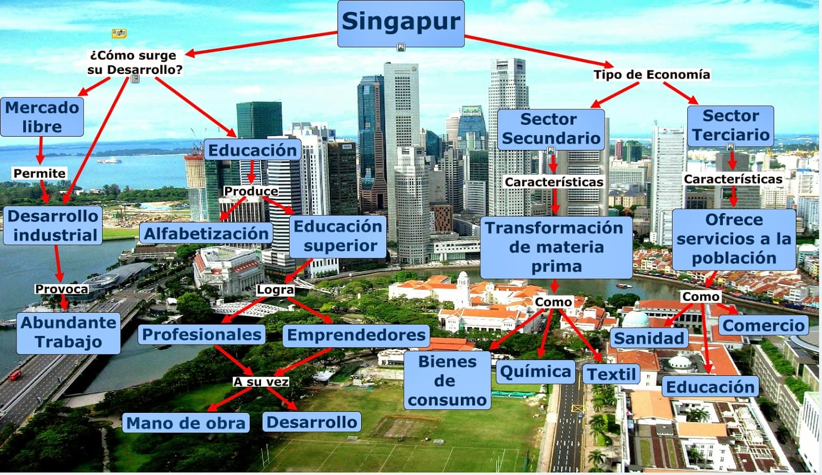 Fact Check: Singapur tiene una economía como el modelo de Milei aunque con características dirigistas.