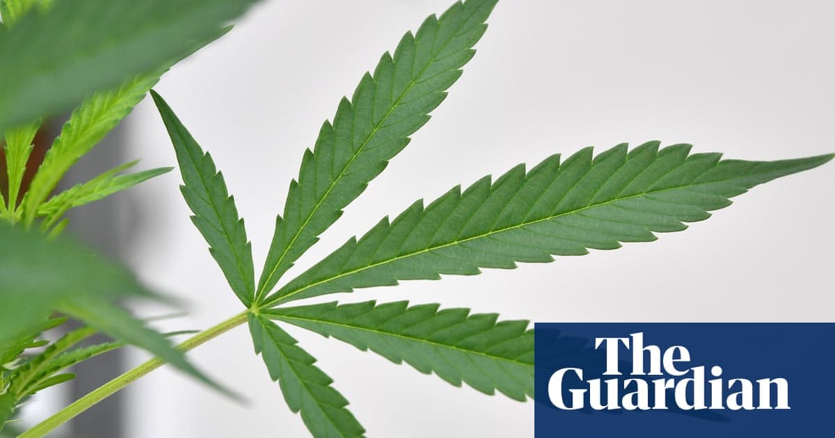 Fact Check: Six of seven committee members support cannabis decriminalisation in NSW.