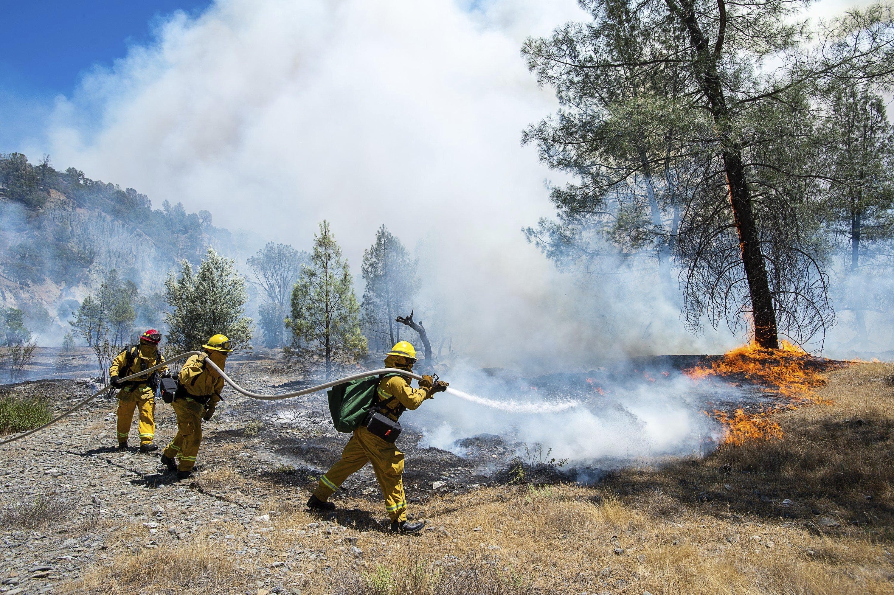 Fact Check: California's wildfire policy is fragmented and lacks interagency collaboration.