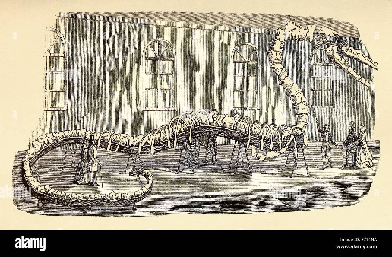 Fact Check: 1964 Sea serpent  photo, Robert Le Serrec, authentic?