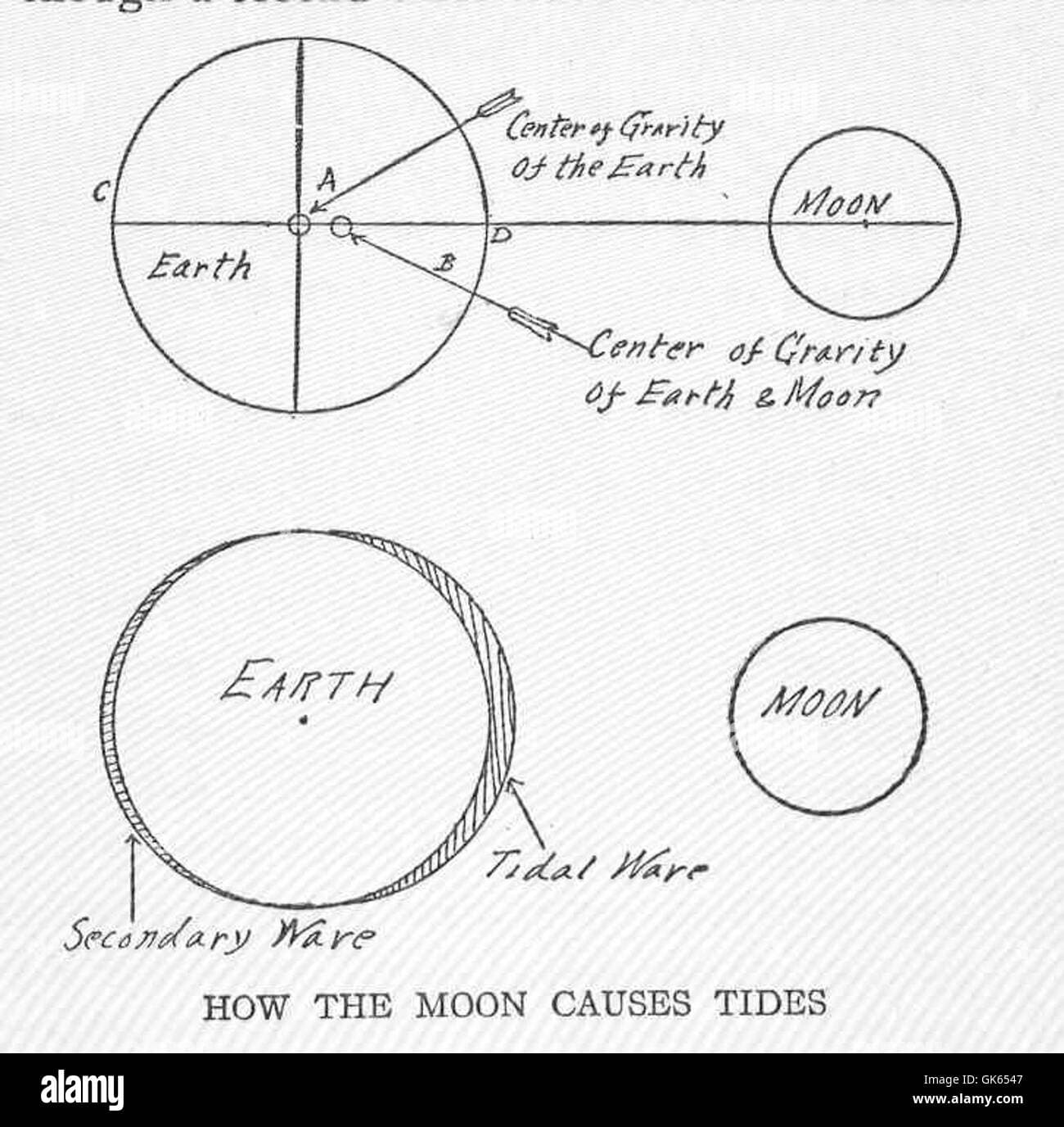 Fact Check: Is it true that due to Earth’s moon having very weak gravitational pull, a, (space-suited) human could leap twelve- feet into the air?