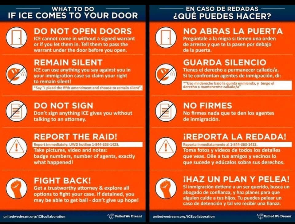 Fact Check: Can ice detain you if you plead the 5th

