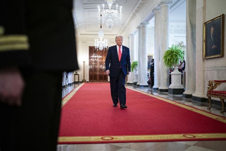 Fact Check: EU and US confident of trade deal before July deadline.