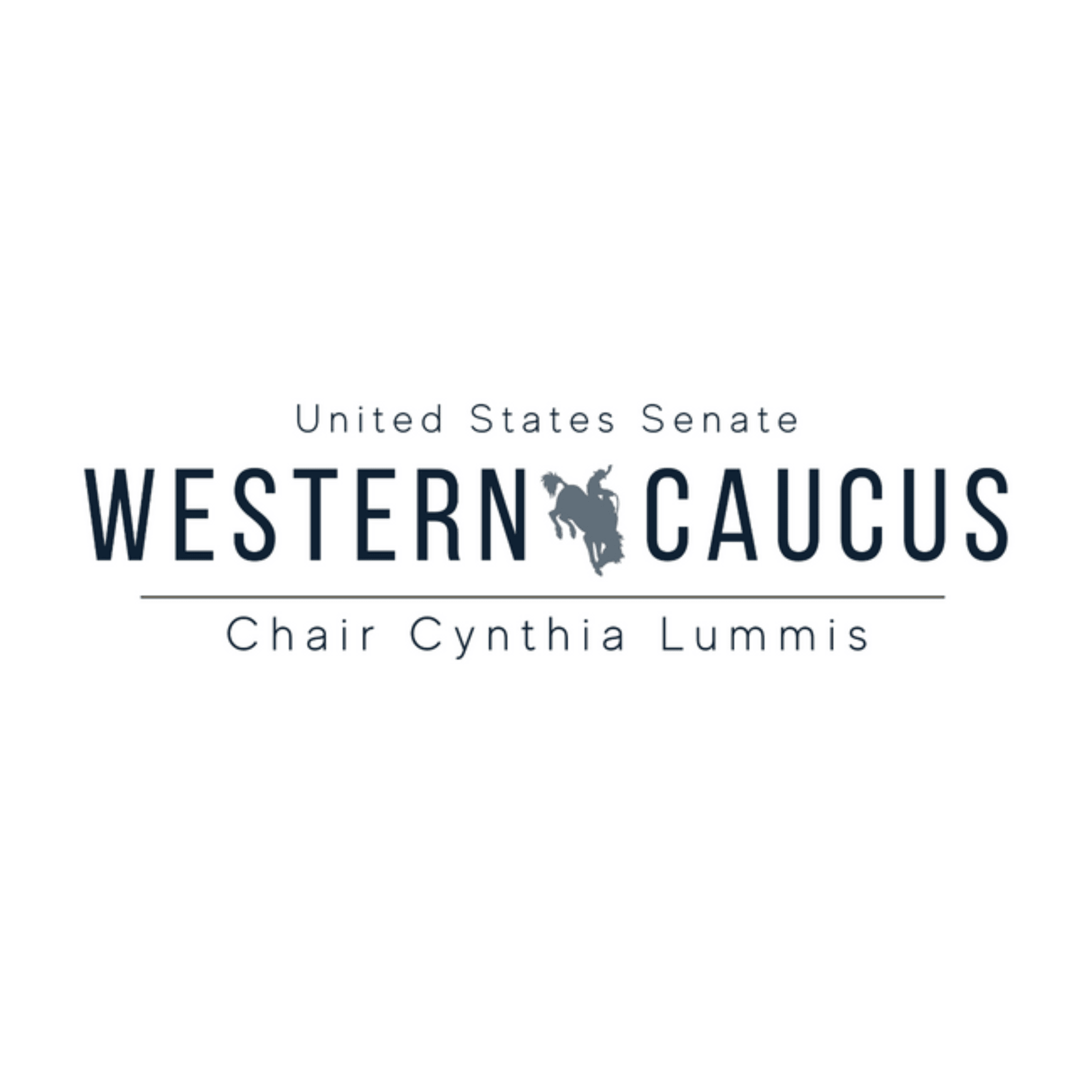 Fact Check: Lummis supports Trump's military intervention against Iran.
