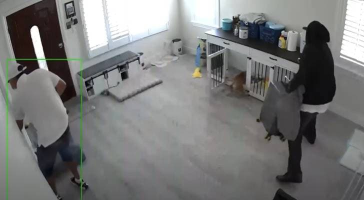 Fact Check: Police confirmed items were stolen from Pitt's ransacked home.
