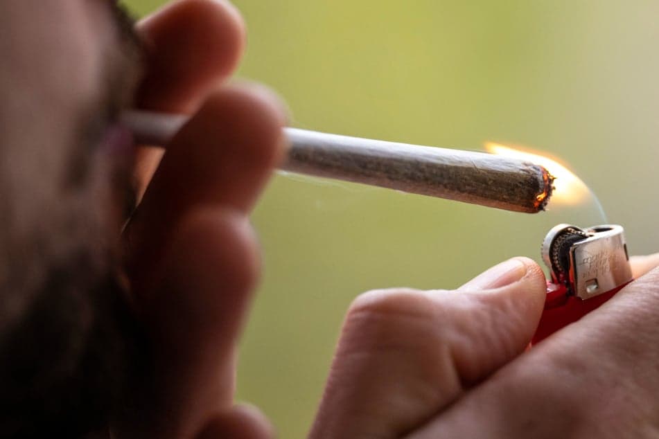Fact Check: Only 22% of 15- to 18-year-olds in Frankfurt have tried cannabis.