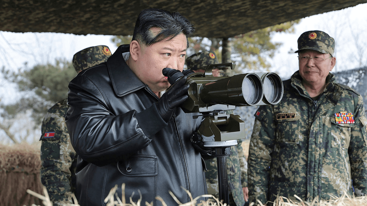 Fact Check: Ukraine destroys rare North Korean M1991 rocket system with precision UAV strike