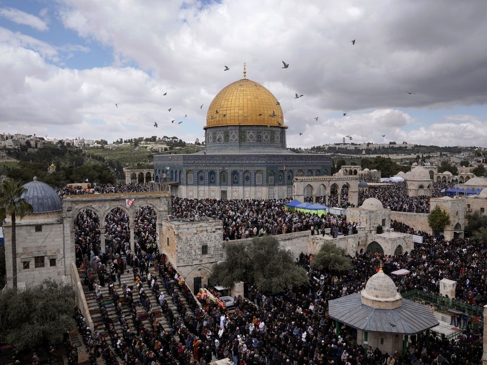 Fact Check: Palestine has always existed