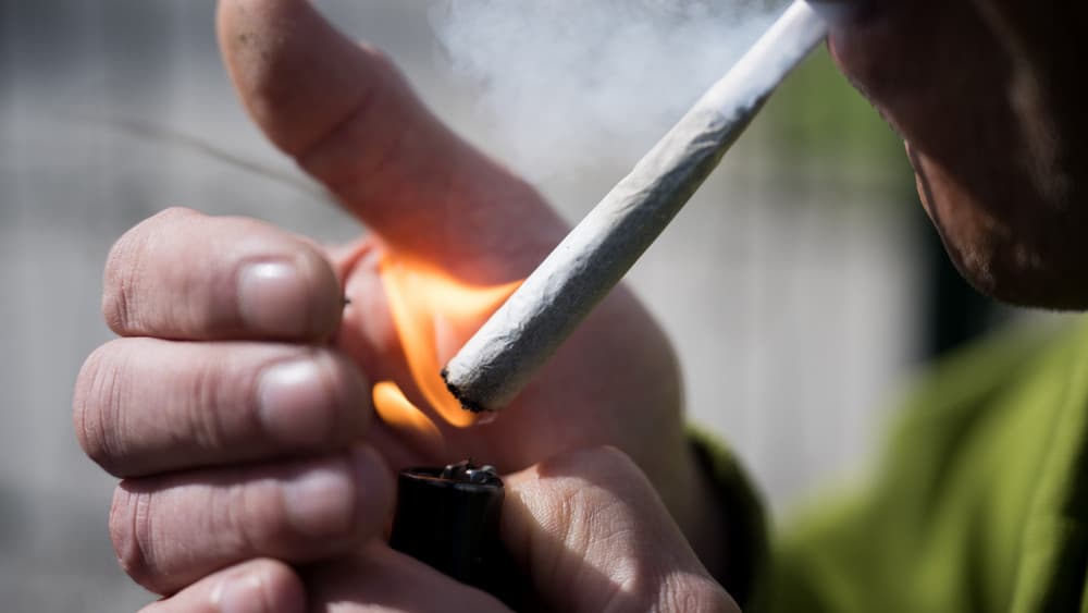 Fact Check: Only 22% of young people in Frankfurt have tried cannabis at least once.