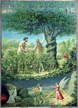 Fact Check: Is it true that in some churches the Adam and Eva eat mushroom instead of apple