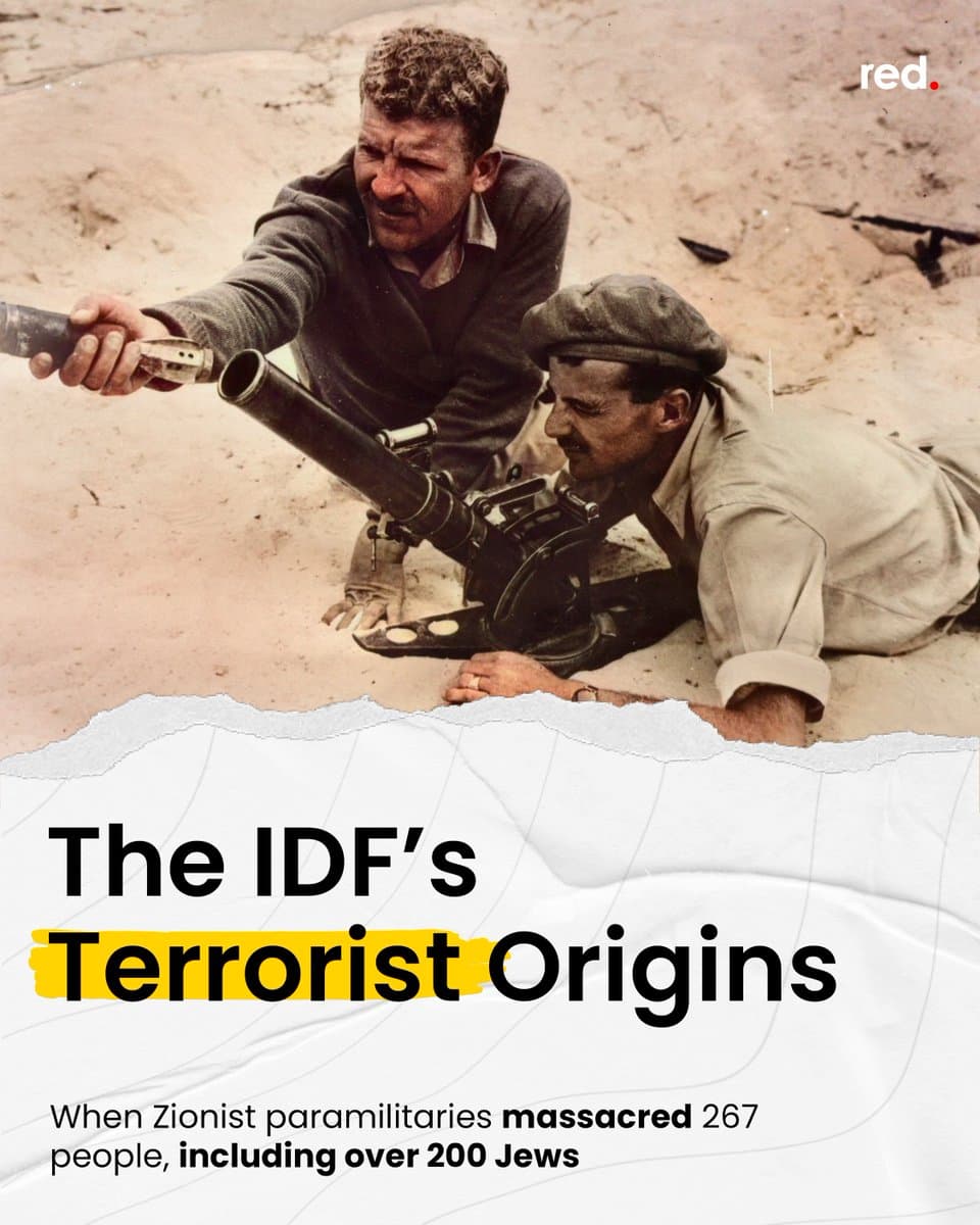 Fact Check: Did the IDF commit any crime in the past year?