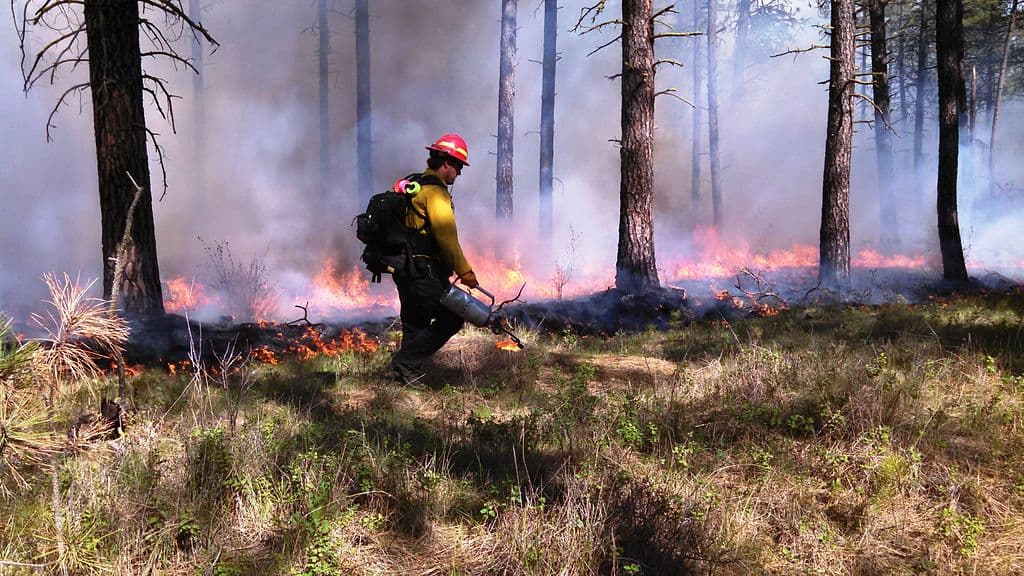 Fact Check: Canadian firefighter denied U.S. entry despite serving under American command.
