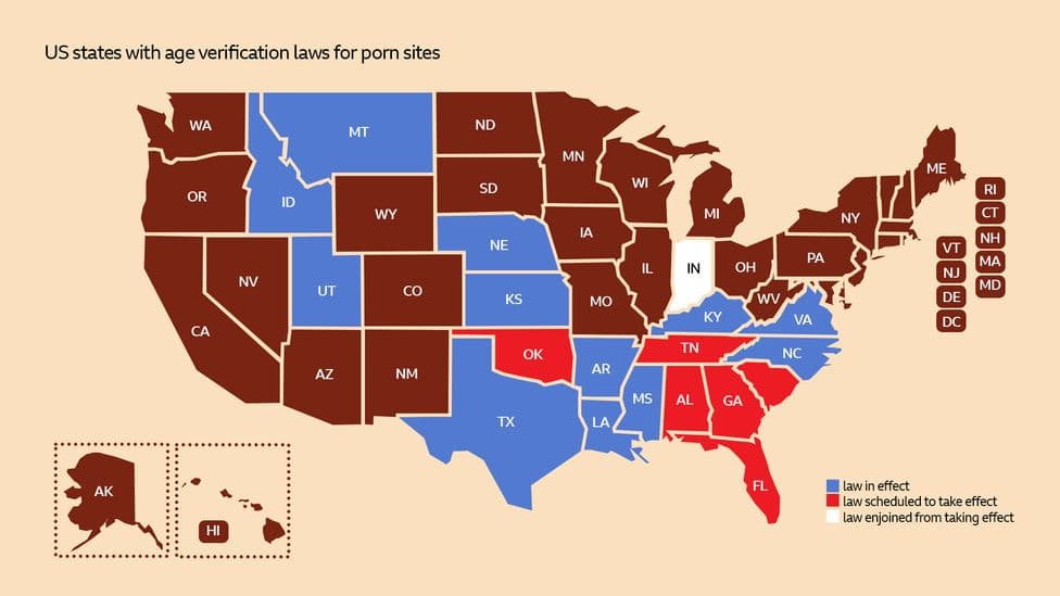 Fact Check: More than a dozen states have enacted similar age verification laws.