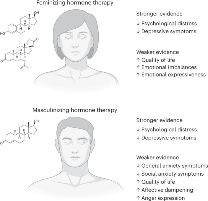 Fact Check: Hormone therapy restrictions could endanger transgender individuals' health.