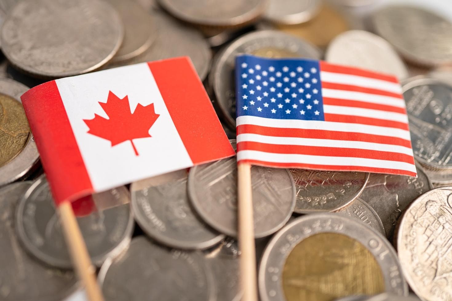 Fact Check: Trade war tariffs are crippling Canada's economy.