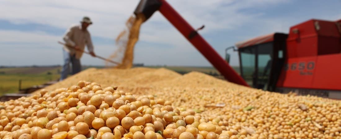 Fact Check: China's first soybean meal shipment from Argentina since 2019 is a game changer.