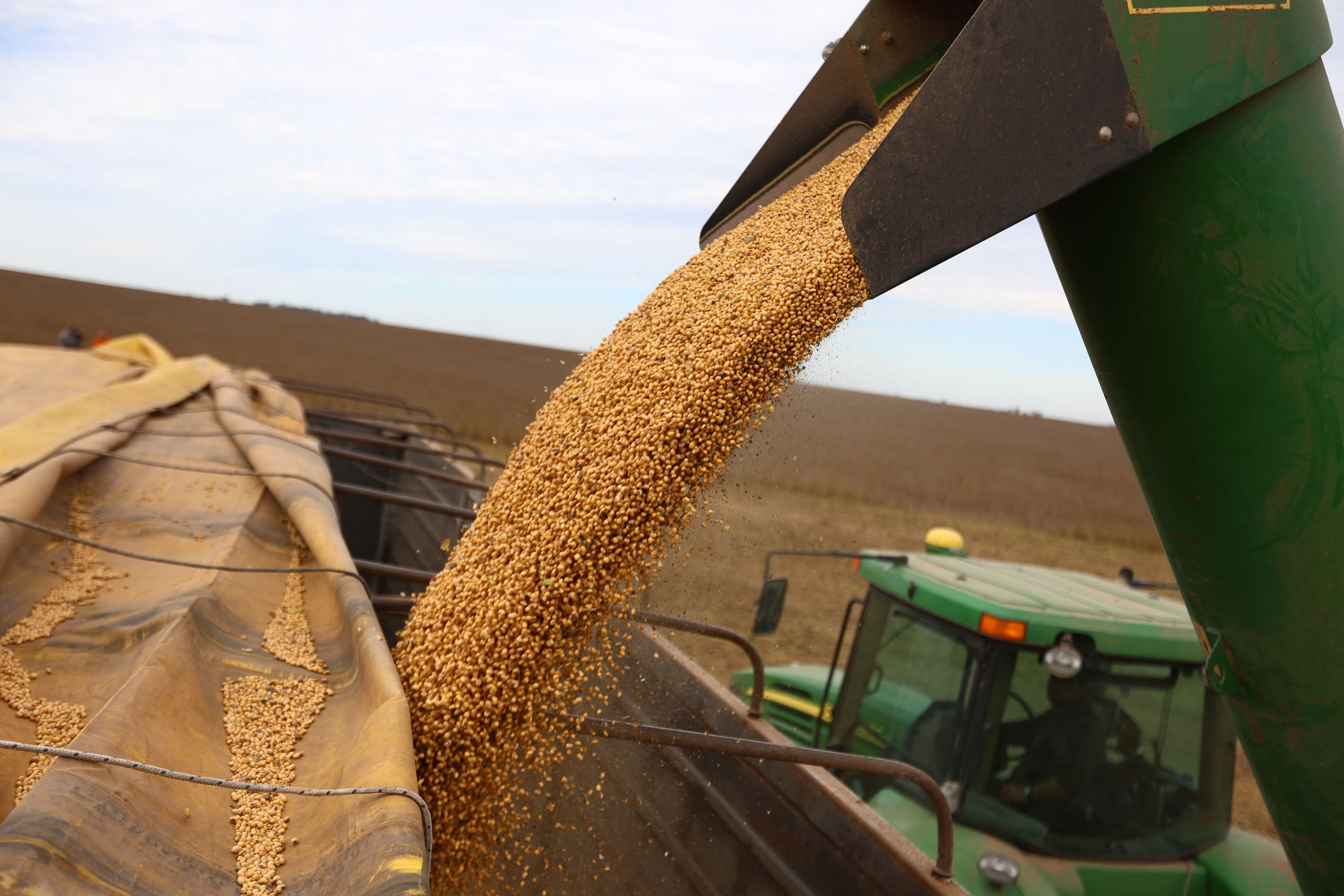 Fact Check: 30,000 tons of soybean meal set to arrive in China by September.