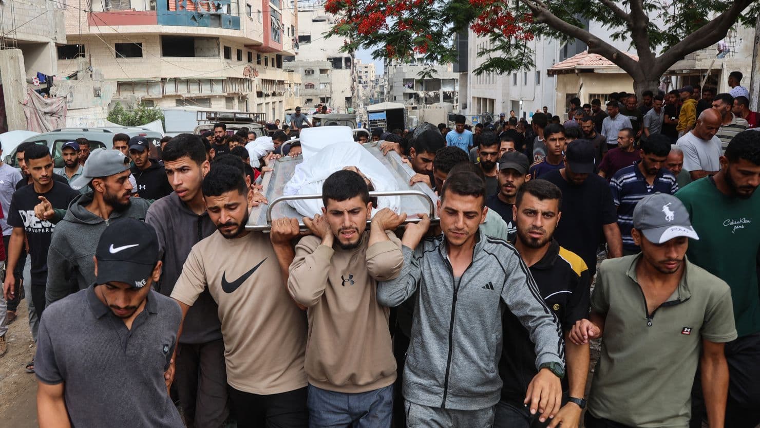 Fact Check: Hundreds of Palestinians killed by IDF fire near aid sites.