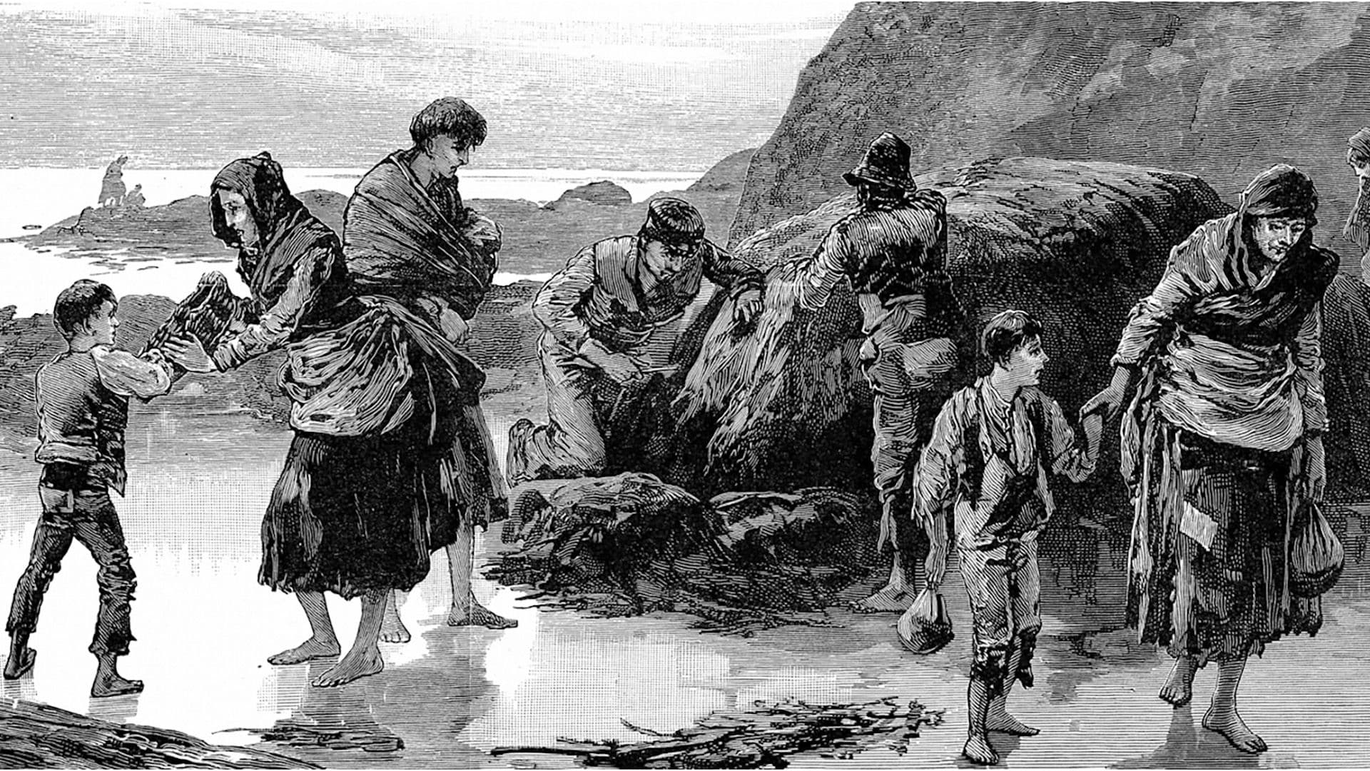 Fact Check: irish patetato famine is a genocide