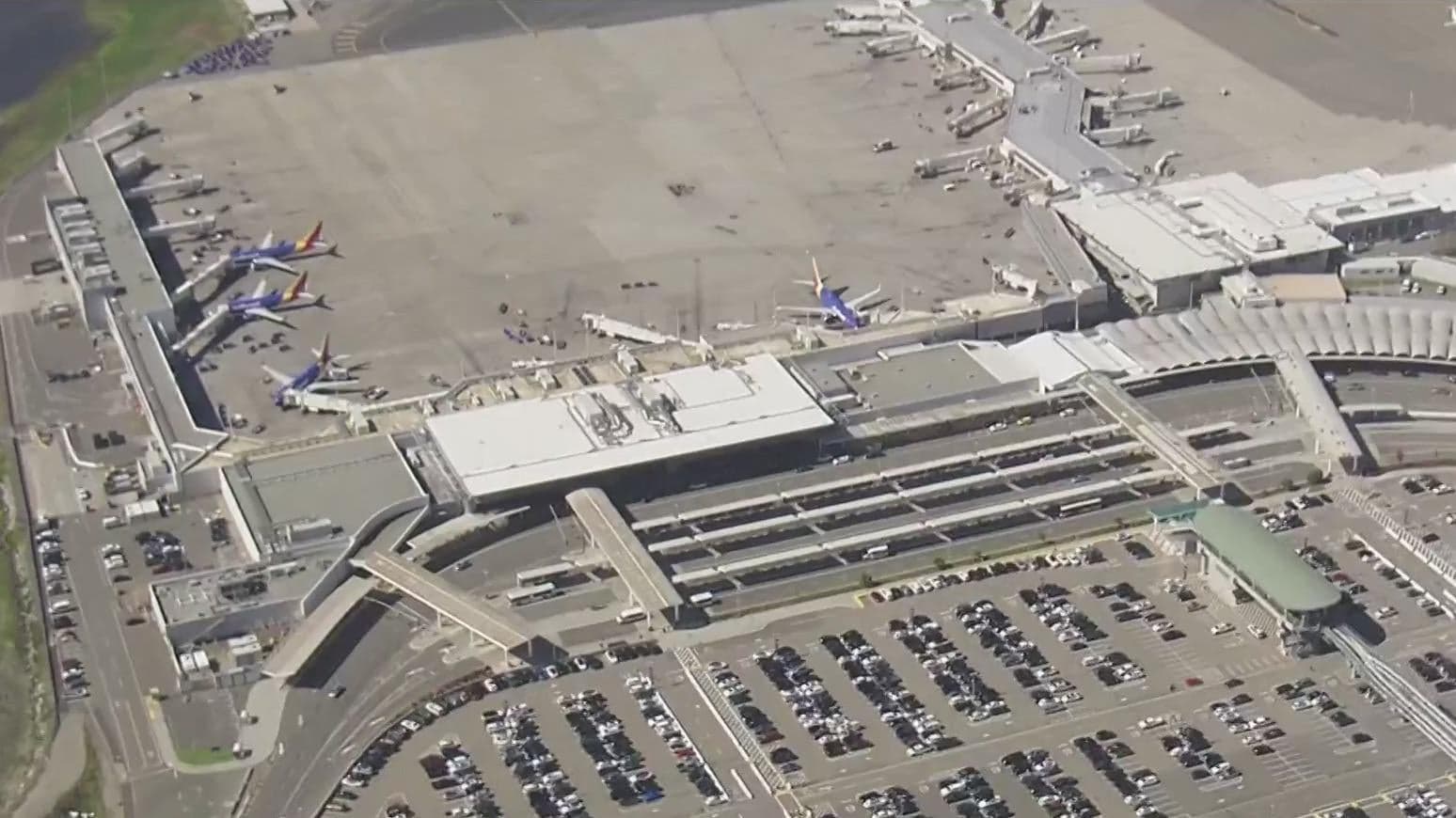 Fact Check: San Francisco City Attorney vows to protect airport's trademark amid name change chaos.