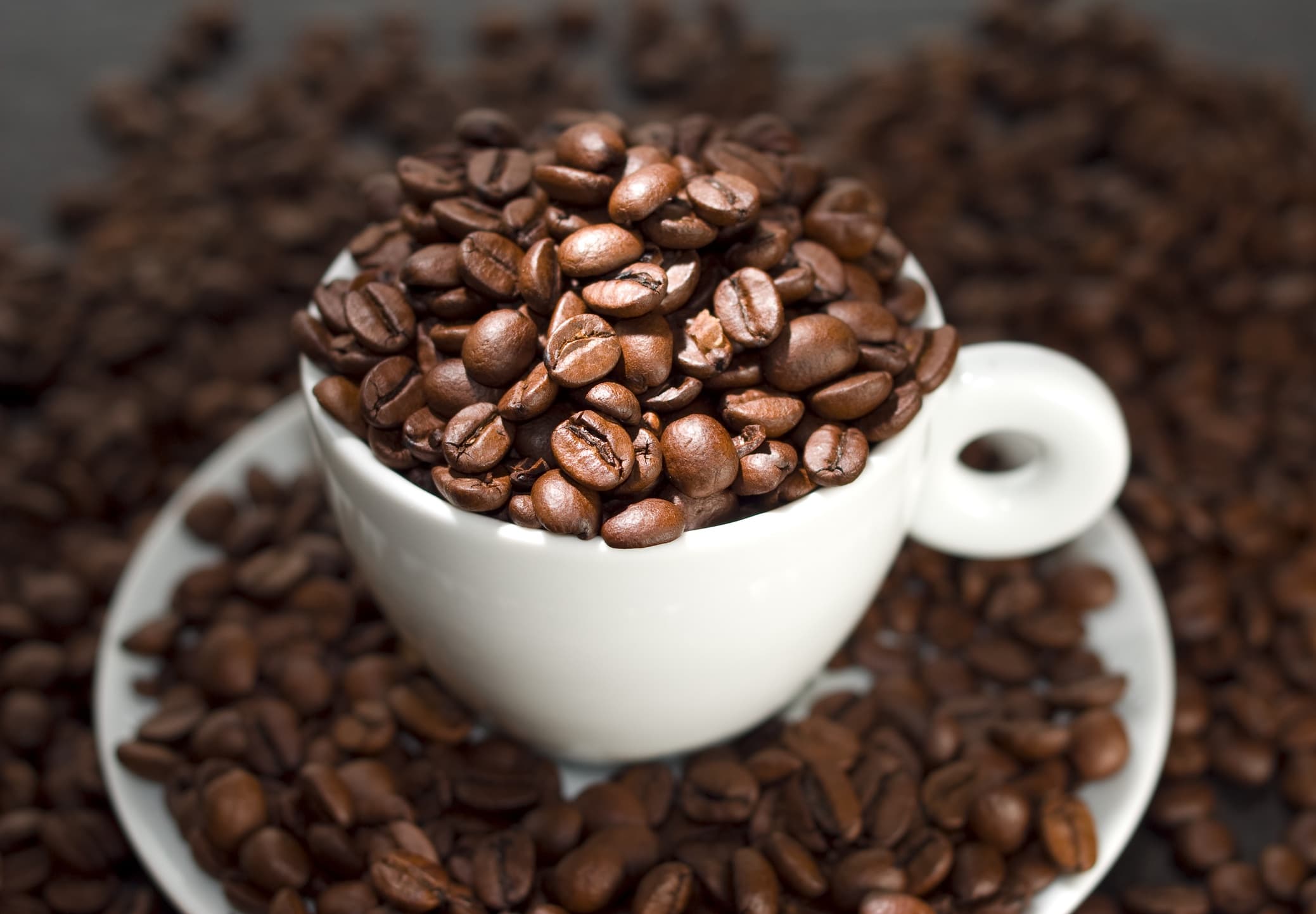 Fact Check: Fun fact did you know that early day Islam and Christan banned black coffee and black bitter tea cuz they said it bitter and you get possessed by devil (caffeine and energized)