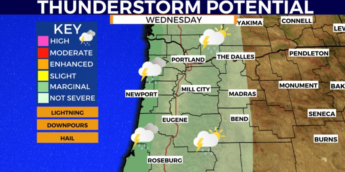 Fact Check: Gale-force winds near 100 km/h threaten power outages along the coast!