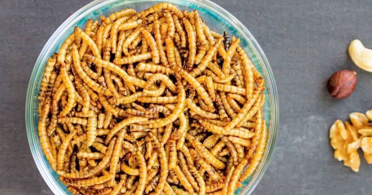 Fact Check: Only 20% of people would consider eating insects as food.