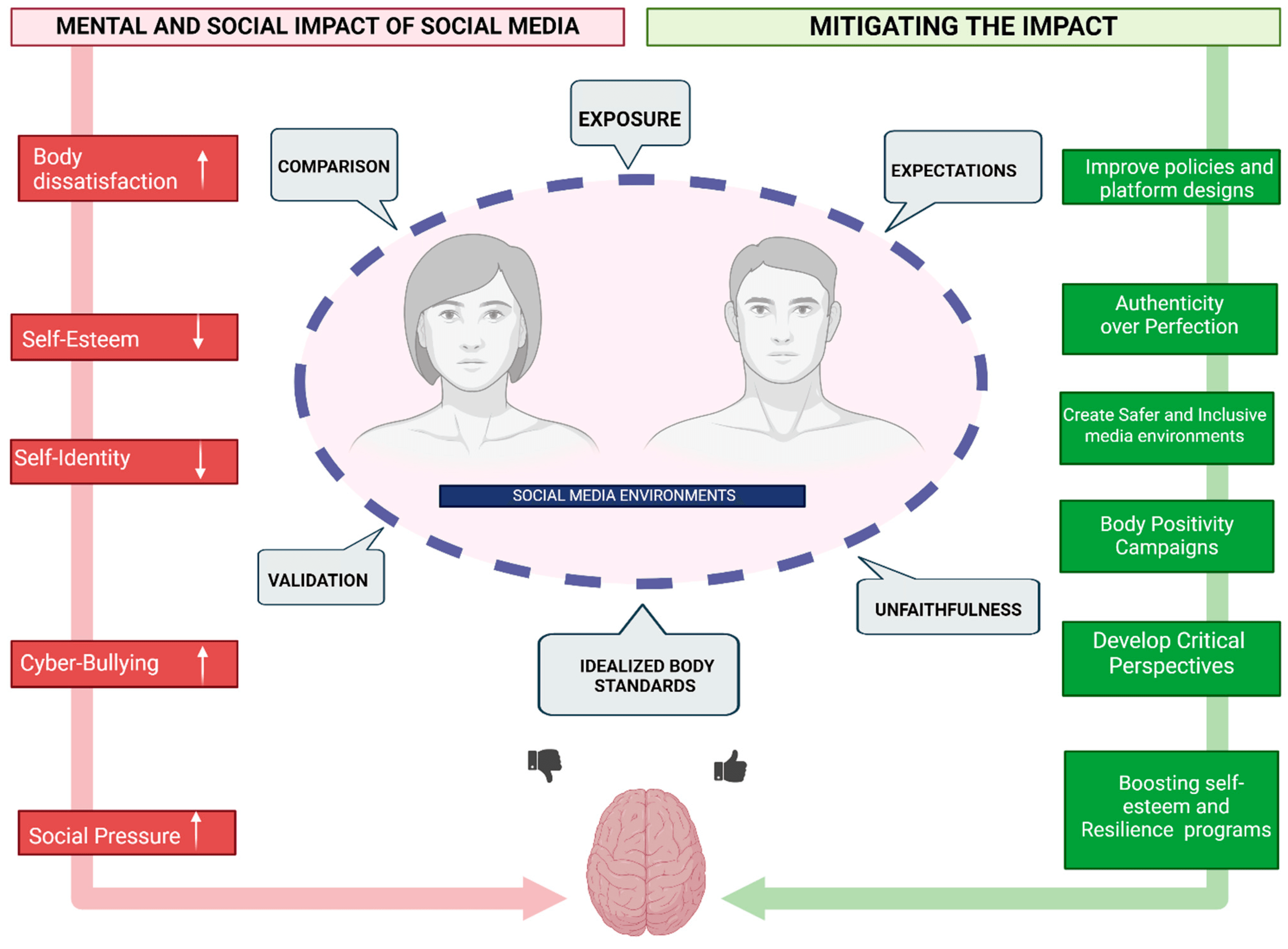 Fact Check: Digital spaces play a role in reshaping male body image perceptions.